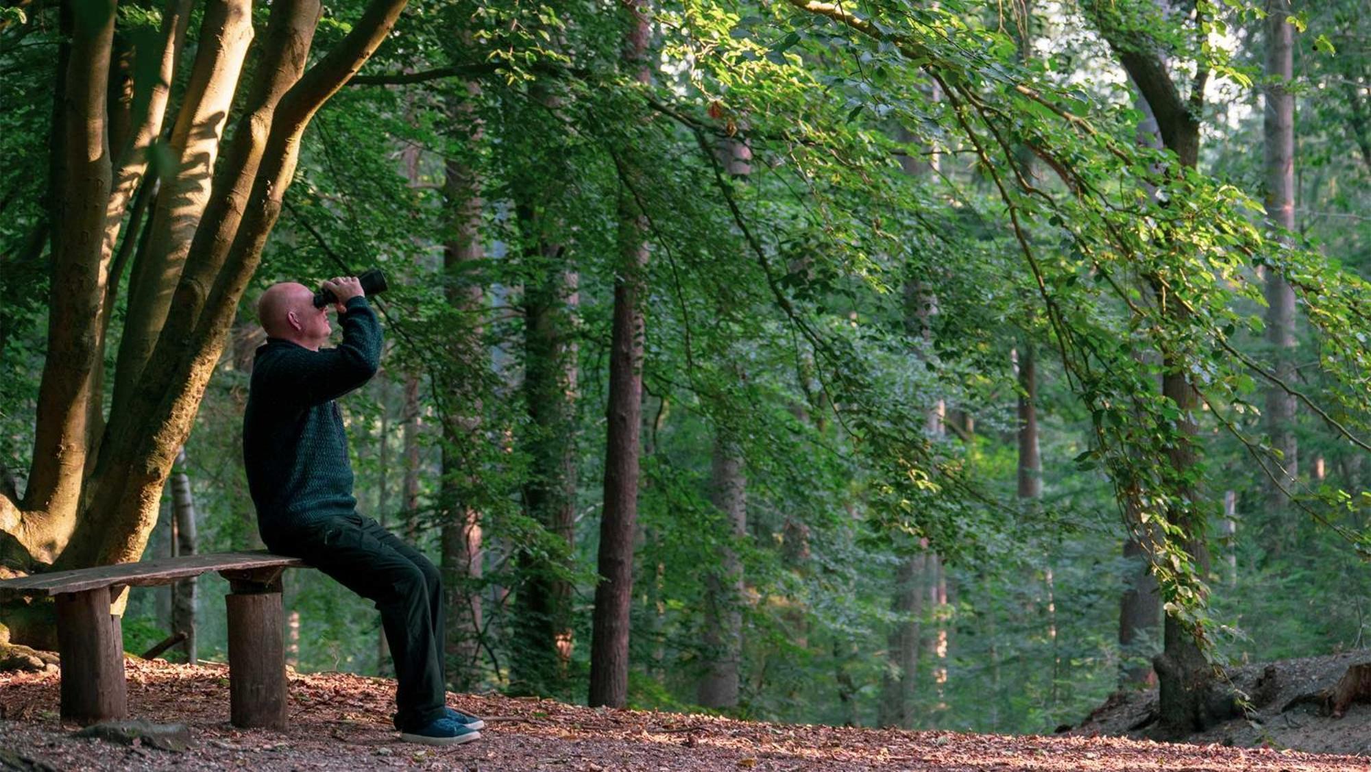 Molecaten Park De Leemkule Hattem Luaran gambar