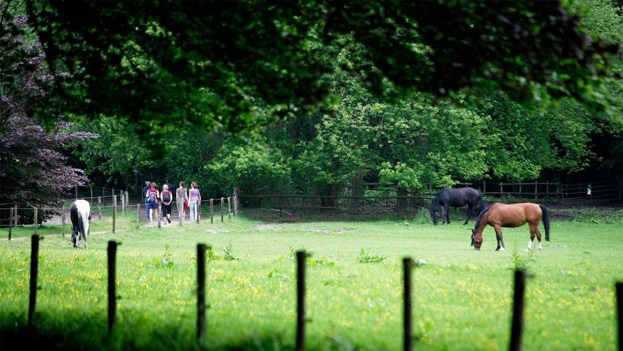 Molecaten Park De Leemkule Hattem Luaran gambar