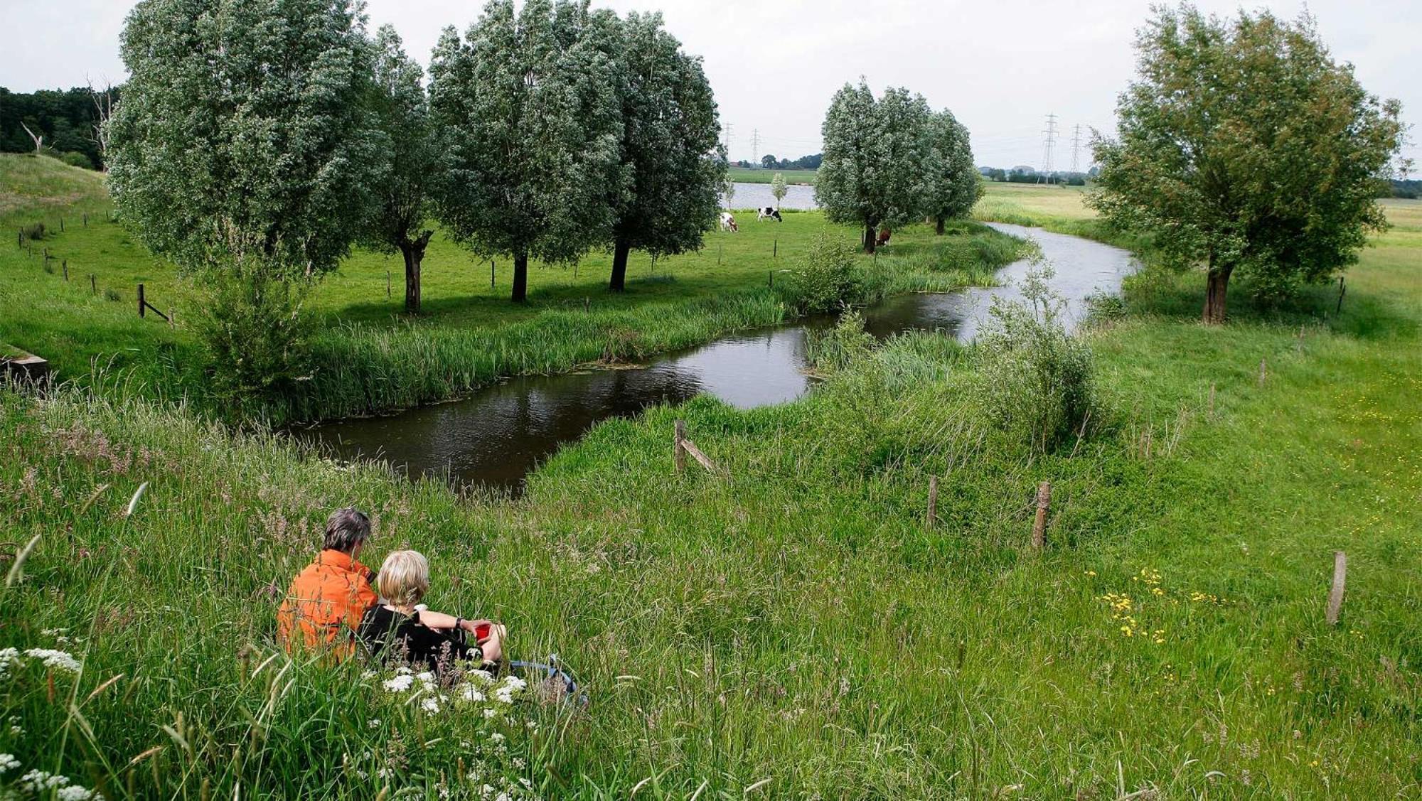 Molecaten Park De Leemkule Hattem Luaran gambar