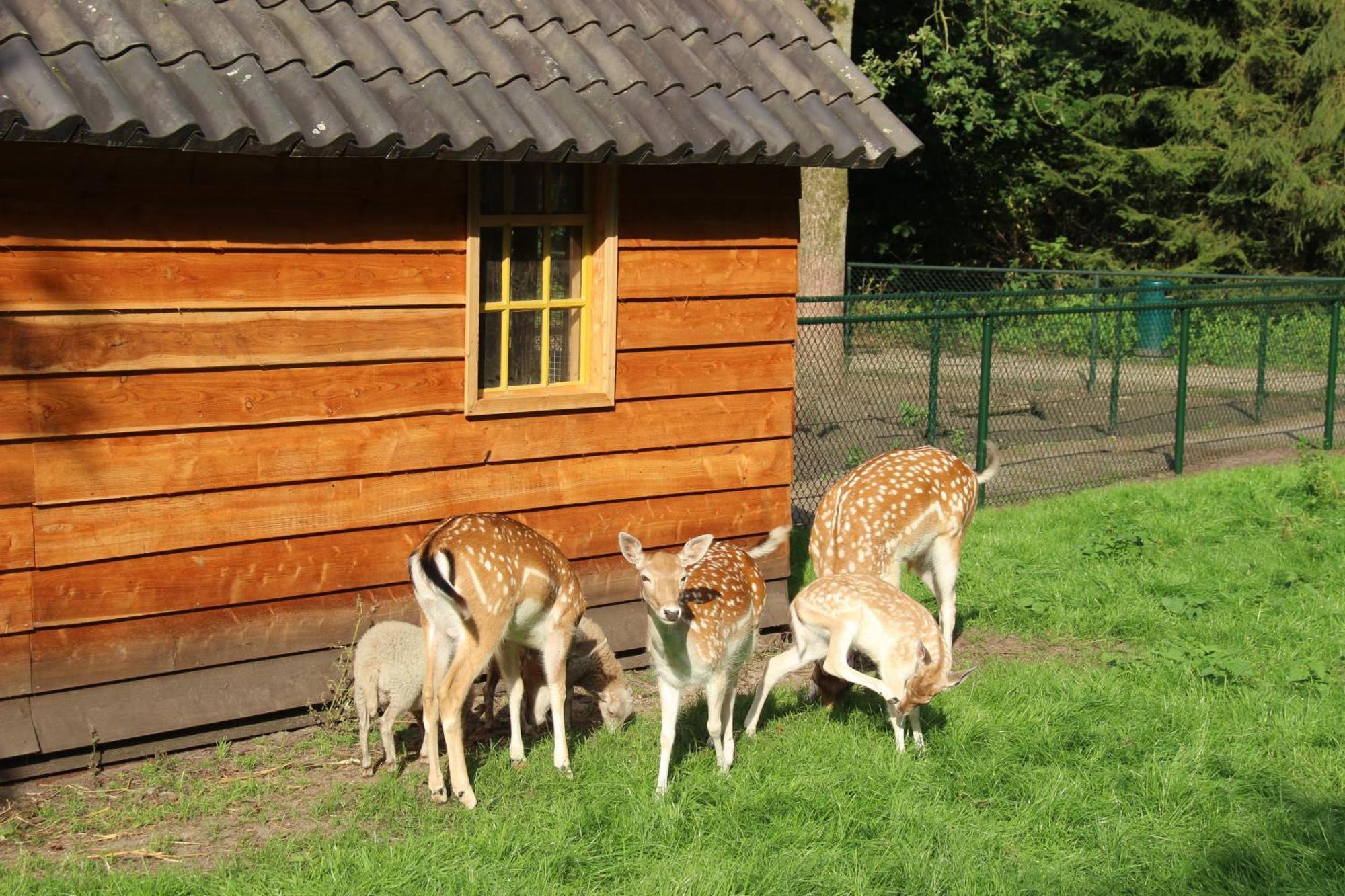 Molecaten Park De Leemkule Hattem Luaran gambar