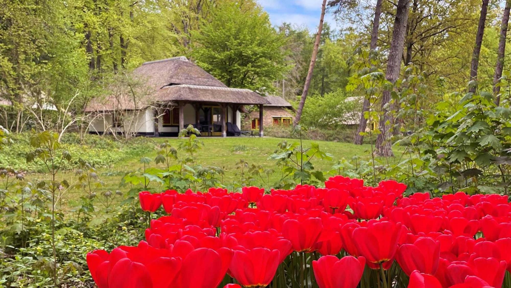Molecaten Park De Leemkule Hattem Bilik gambar