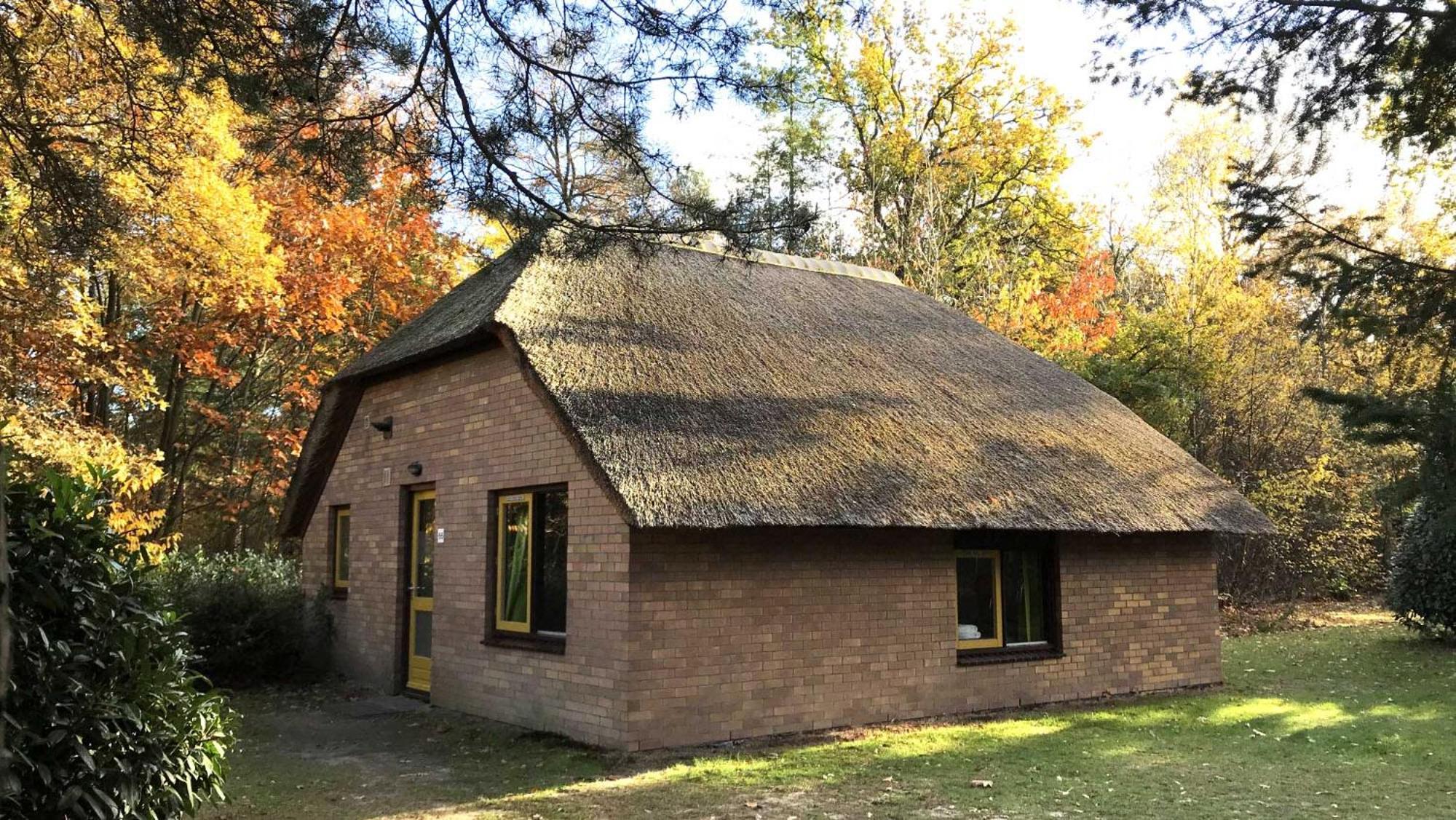 Molecaten Park De Leemkule Hattem Bilik gambar