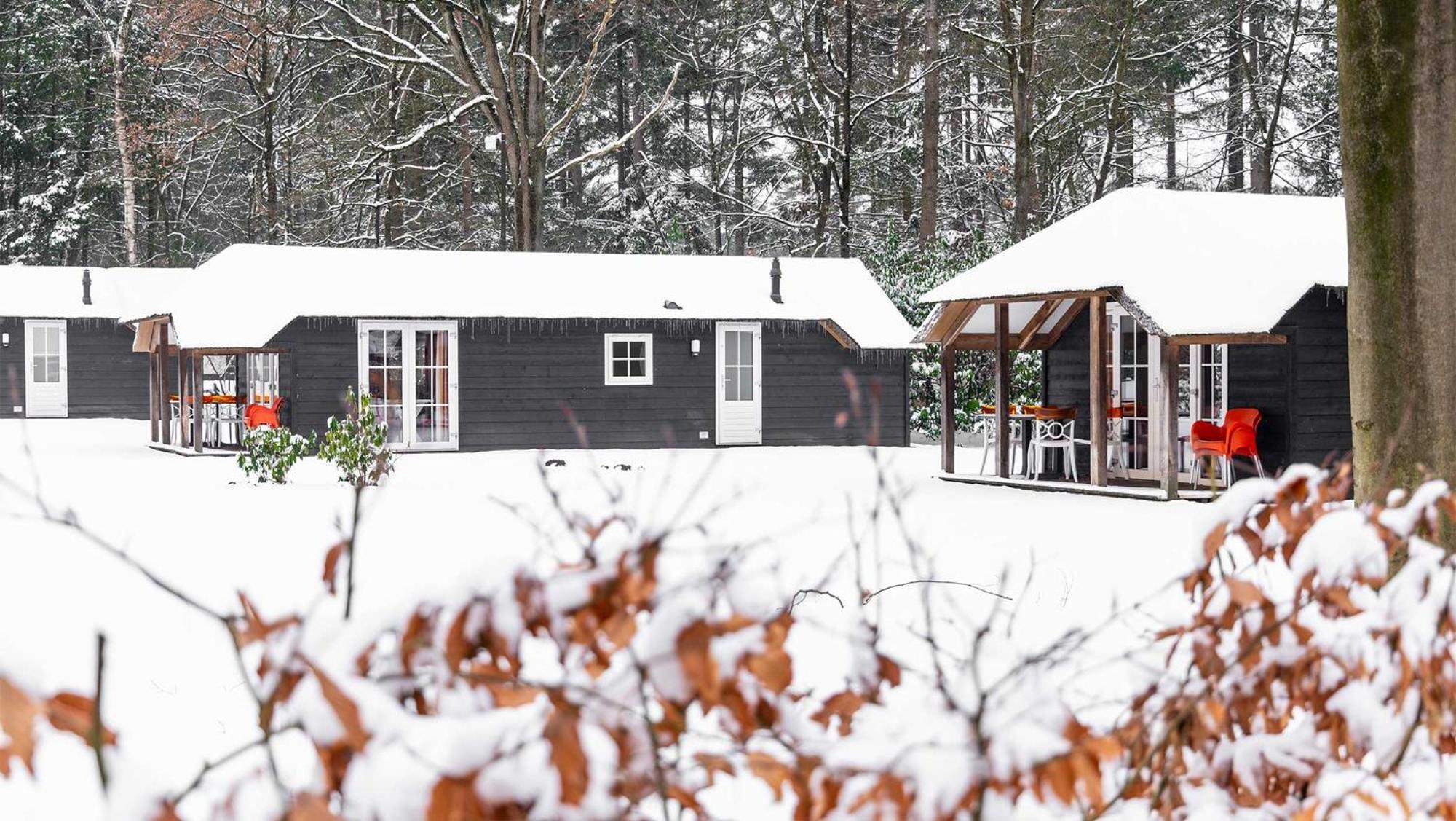 Molecaten Park De Leemkule Hattem Bilik gambar