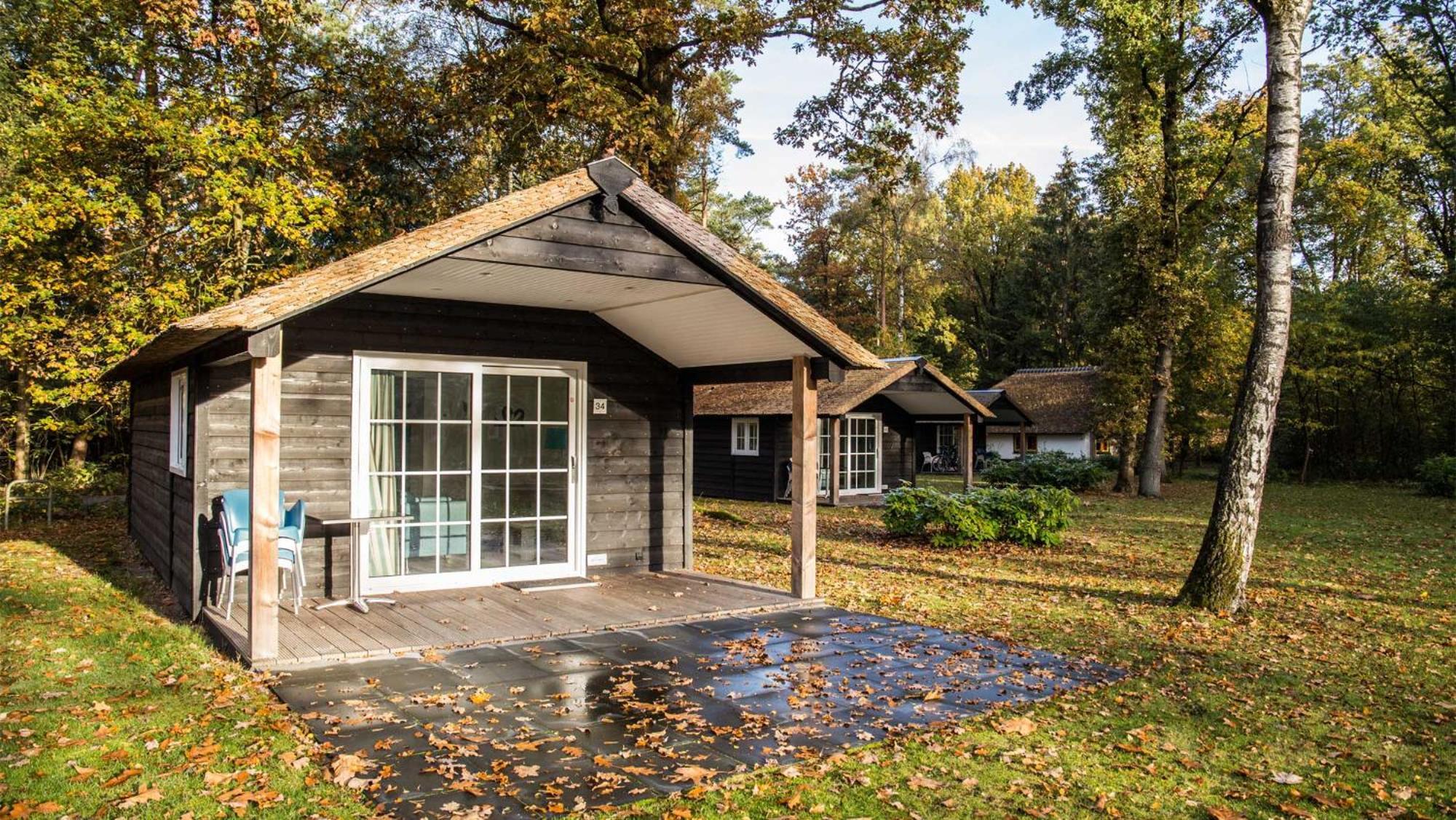 Molecaten Park De Leemkule Hattem Bilik gambar