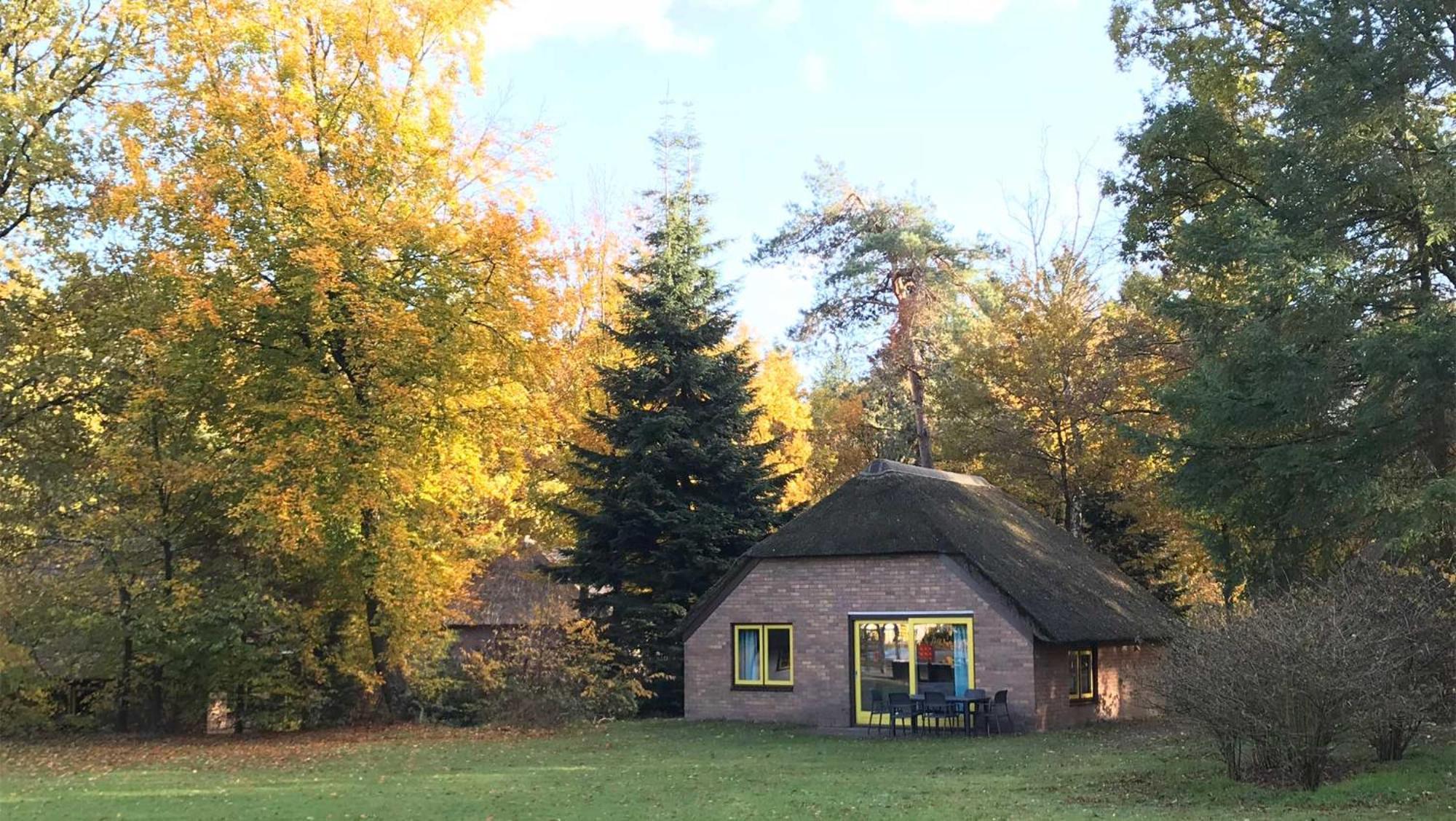 Molecaten Park De Leemkule Hattem Bilik gambar
