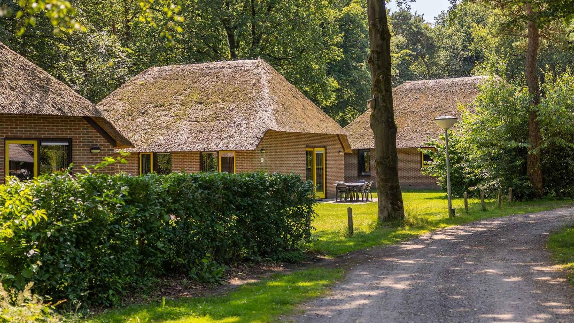 Molecaten Park De Leemkule Hattem Luaran gambar