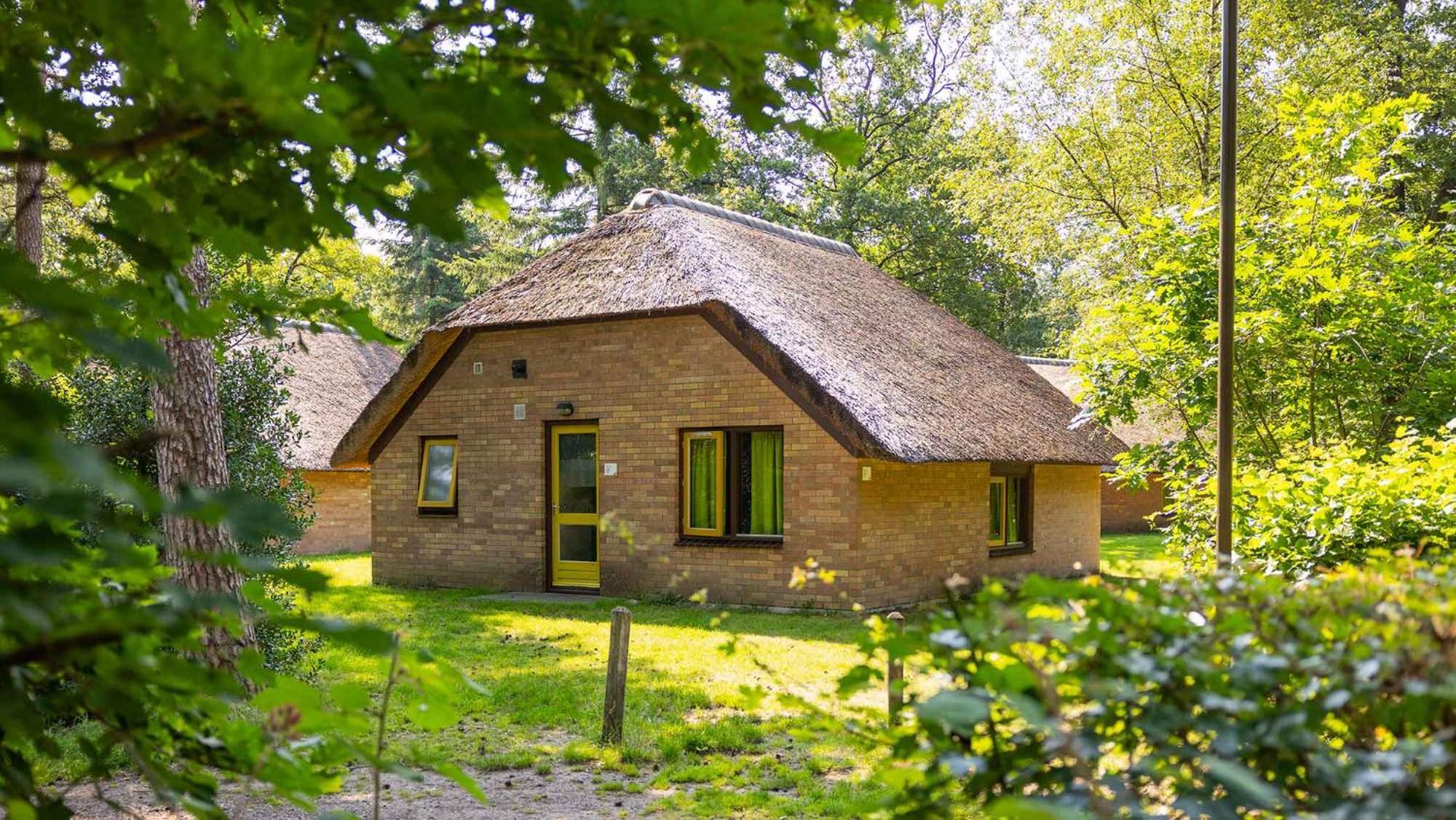 Molecaten Park De Leemkule Hattem Bilik gambar