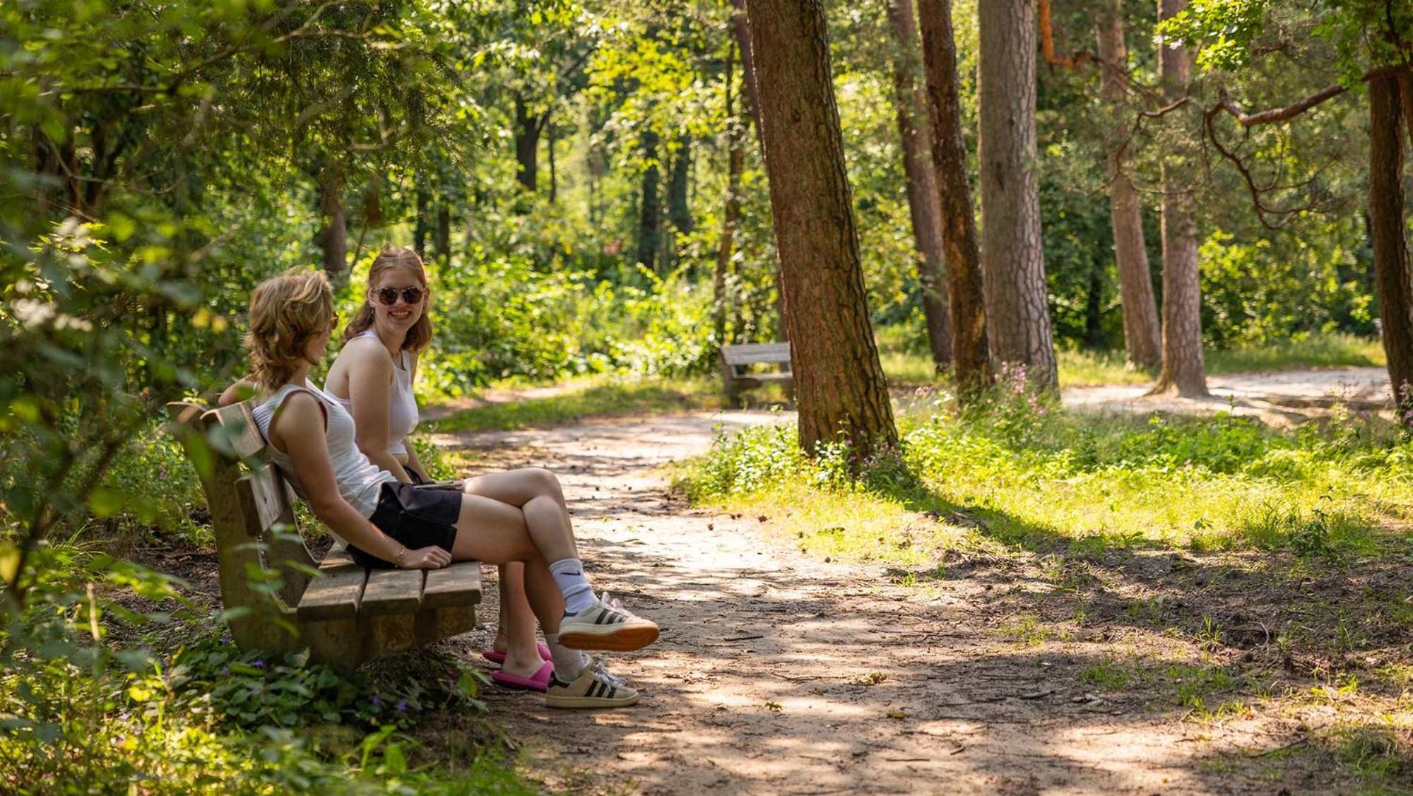 Molecaten Park De Leemkule Hattem Luaran gambar