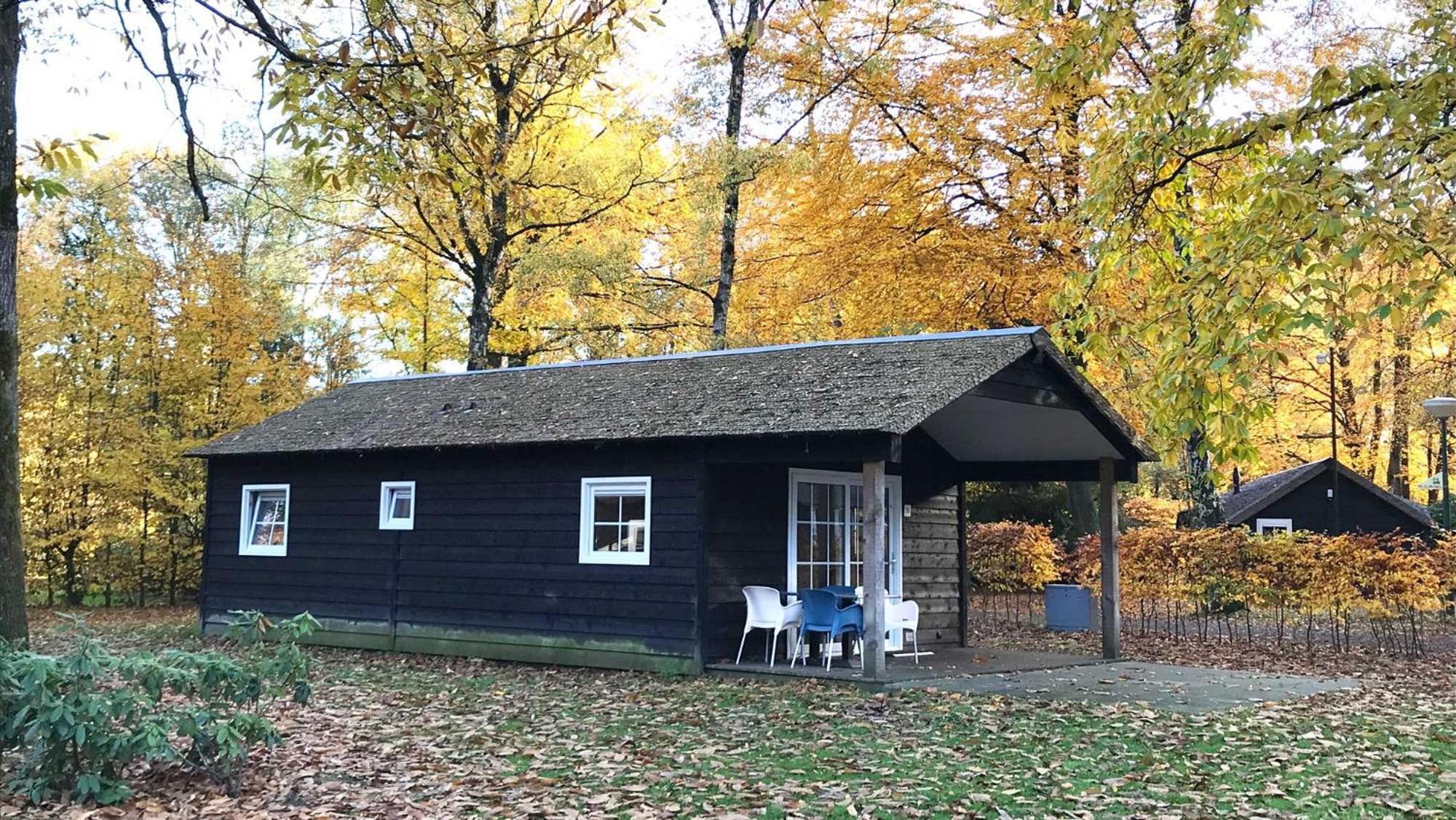 Molecaten Park De Leemkule Hattem Bilik gambar