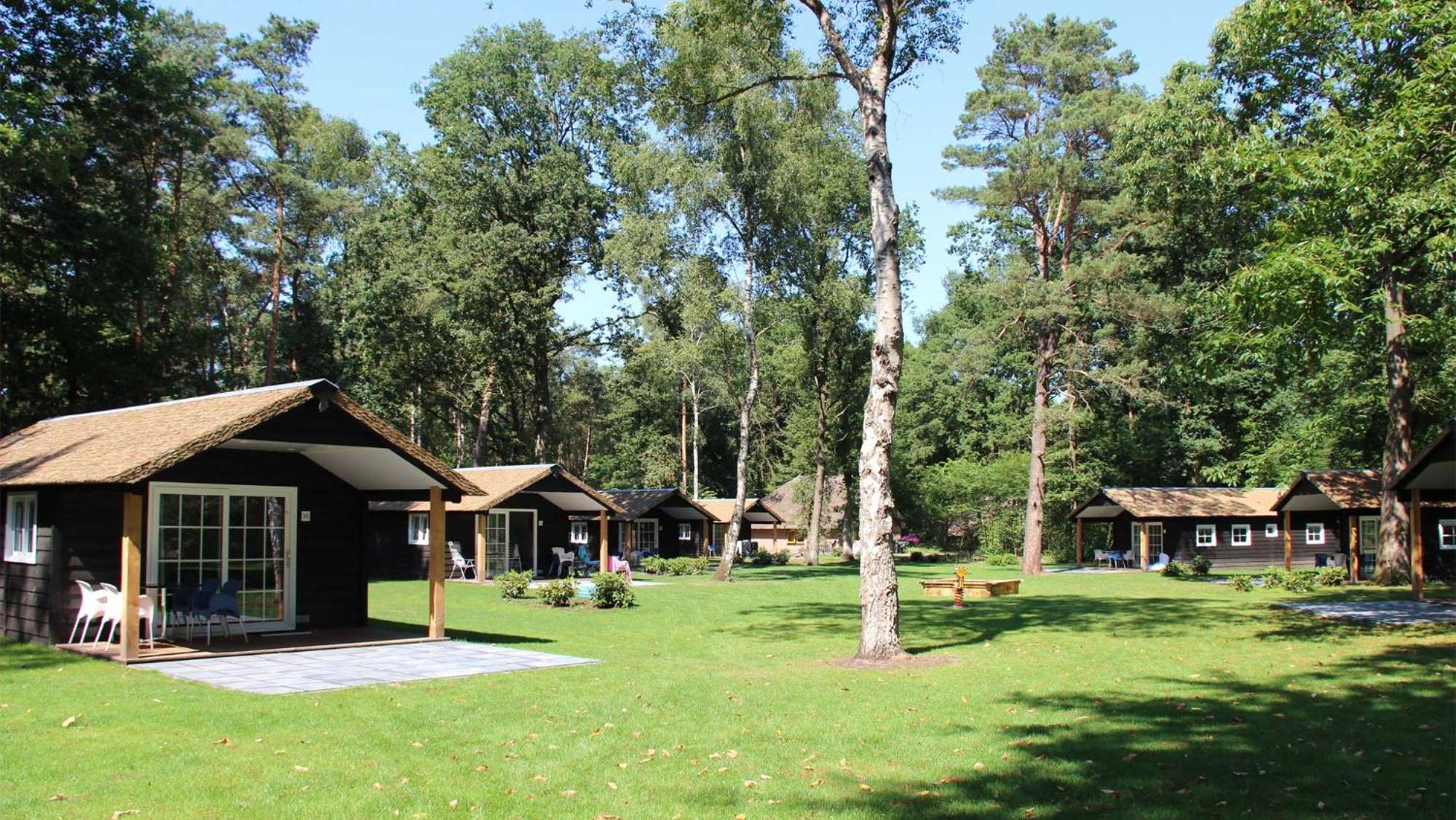 Molecaten Park De Leemkule Hattem Bilik gambar