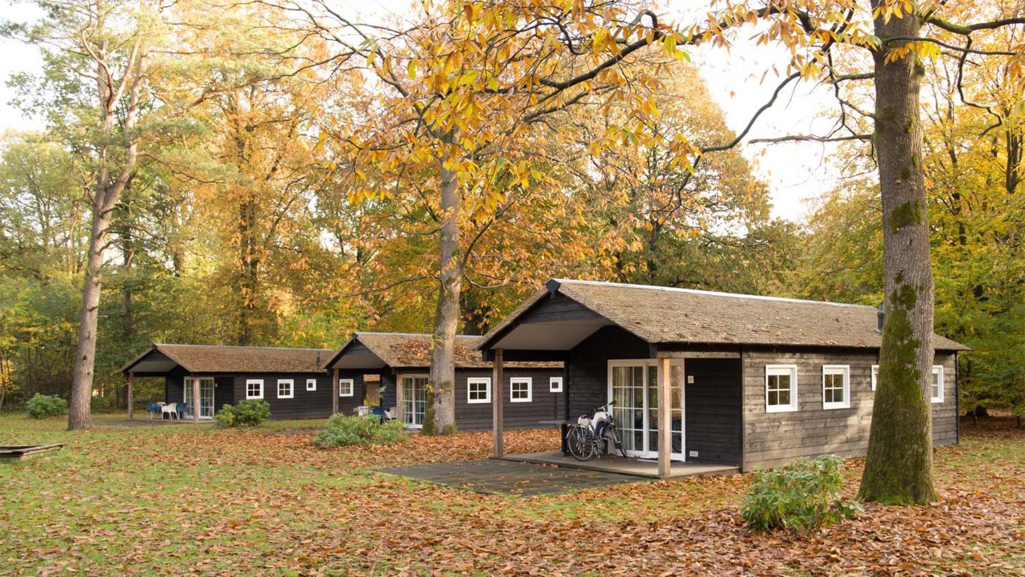 Molecaten Park De Leemkule Hattem Bilik gambar