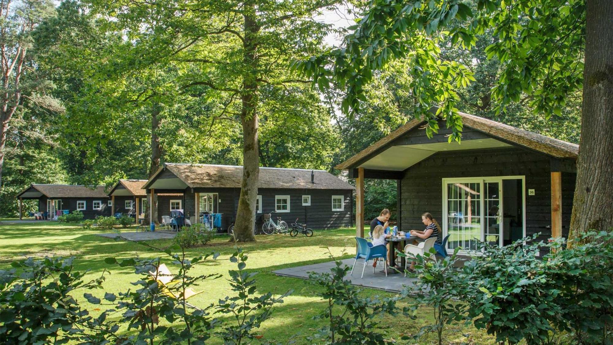 Molecaten Park De Leemkule Hattem Bilik gambar