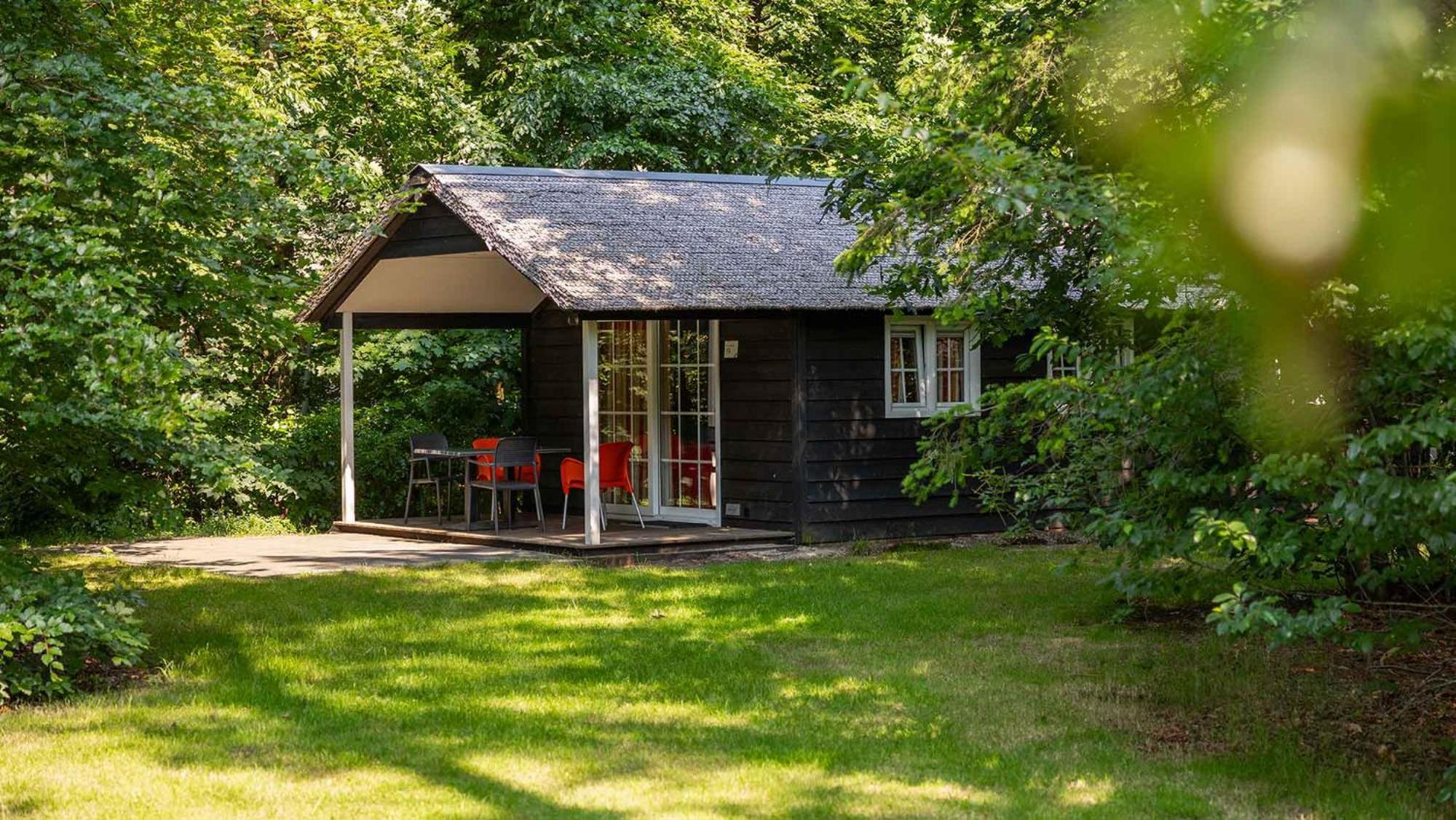 Molecaten Park De Leemkule Hattem Bilik gambar
