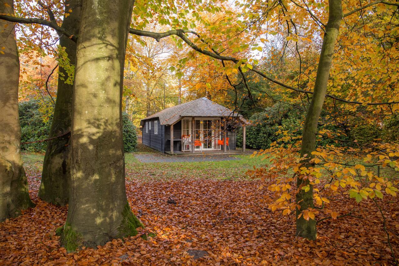 Molecaten Park De Leemkule Hattem Luaran gambar